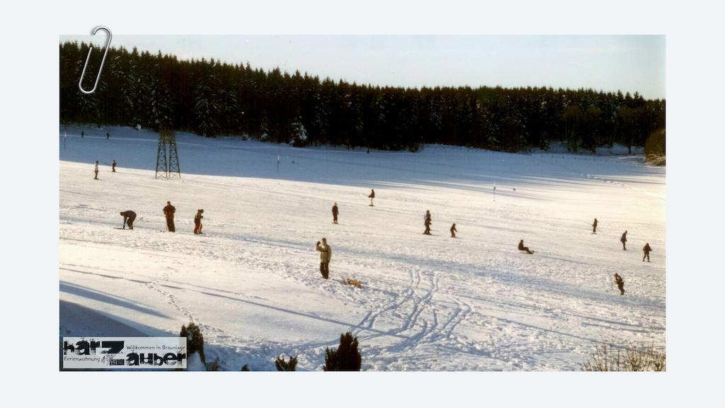 Ferienwohnung Harzauber Braunlage Cameră foto